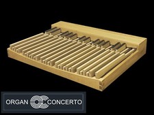 Pedaliera concava parallela 30