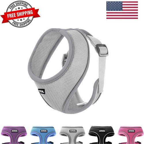 Easy walk imbracatura per - easy,