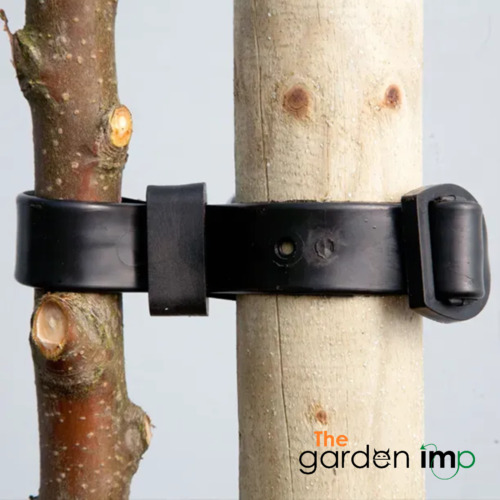 Fibbia albero fascette - fibbia,