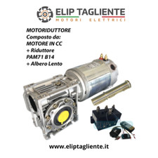 MOTORIDUTTORE 12VDC 400W 100