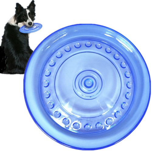 Addestramento cani frisbee - addestramento,