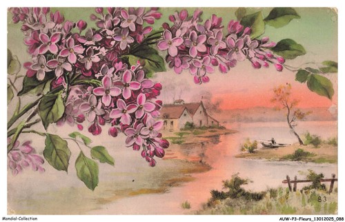 Auwp3 0206 fiori bouquet di - -,
