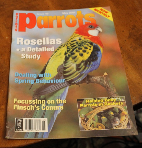 Parrots may 2001 - parrots, ~