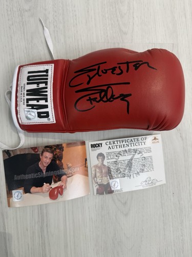 Guantone boxe sylvester - da,