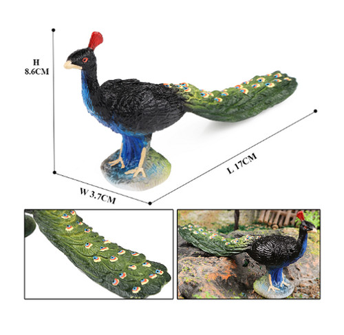 Mini uccellino pavone - , cm