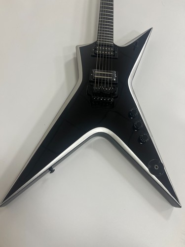 Washburn dimebag darrell - washburn,
