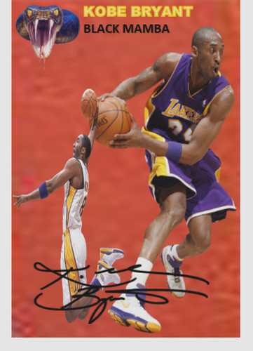 Kobe bryant black mamba - bryant,