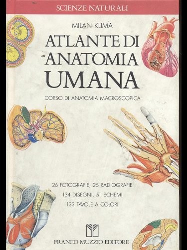 Atlante anatomia umana - anatomia,