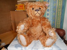 Orso inglese - , da