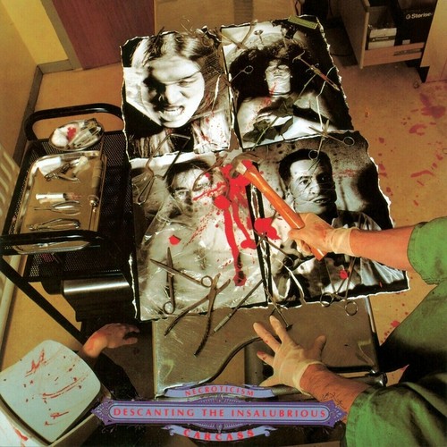 Carcass necroticism - carcass,