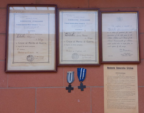 Regio esercito partigiani - esercito,