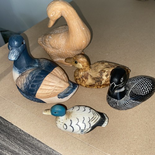 Bundle odd ducks - odd, boma