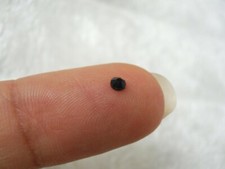 Strass Neri Termoadesivi