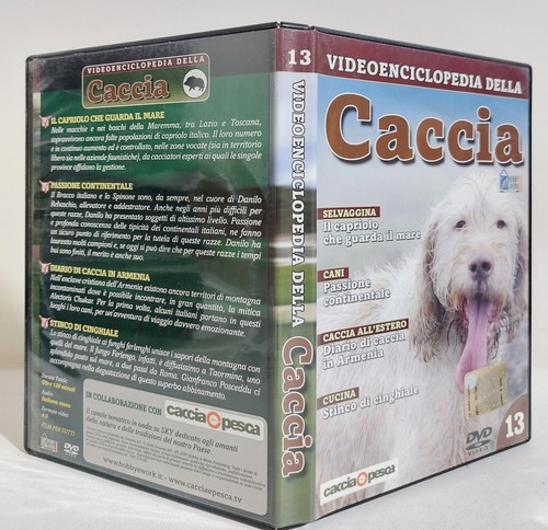 I119997 dvd video - dvd,