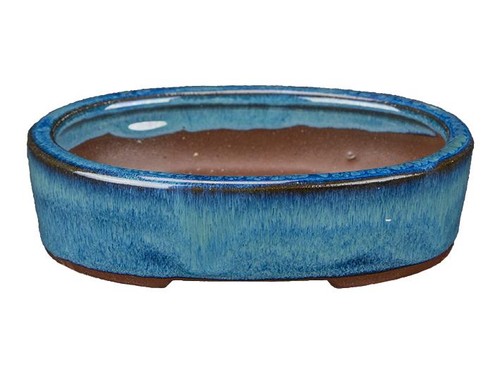 Vaso per bonsai ovale - , in