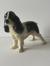 Vintage Gloss Black And White