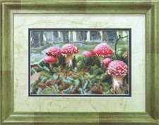 Punto croce "Stoadstools". Kit