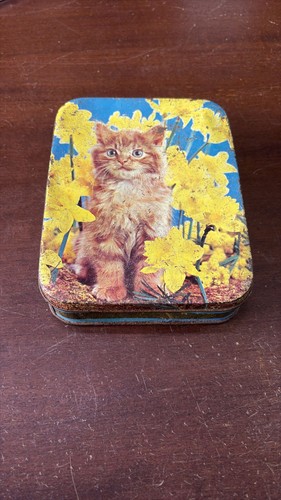Scatola latta vintage - scatola,