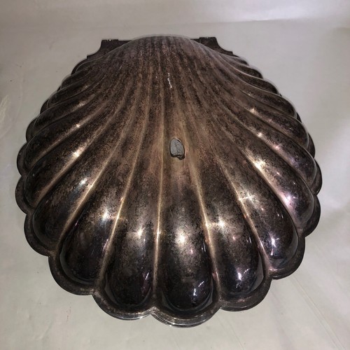 Servizio piatti silver clam - servizio,