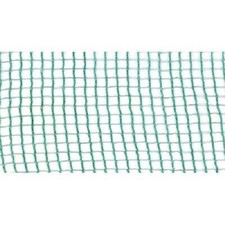 TELO X OLIVE PUGLIA + SPACCO STARS