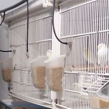 Beverino automatico, Canarini, Cardellini, Parrocchetti, Inseparabili, Galline