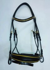 Briglia da dressage con fascia