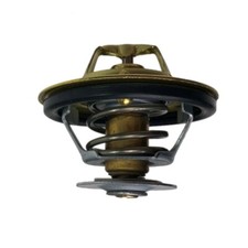 Termostato per motore trattore Fiat New Holland Case-IH Ford Steyr mietitrebbie 