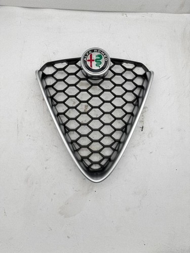 Griglia superiore radiatore