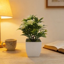 Bonsai di Rose in Plastica