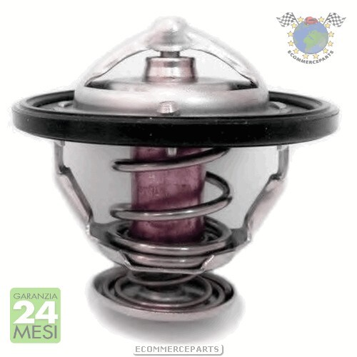 Xpjmd termostato acqua meat - acqua,