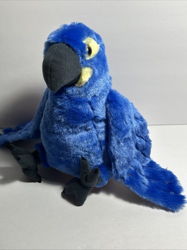 Wild republic bird parrot - republic,