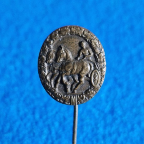 Vecchia spilla - spilla,