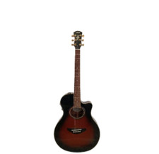 Chitarra acustica elettrica