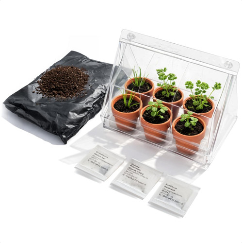Mini serra con vasi - ®,