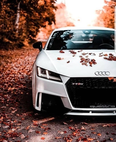 Griglia adatto per audi - adatto, tt