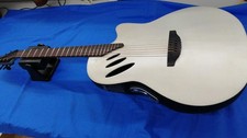 Chitarra elettrica acustica