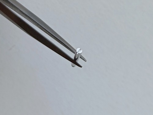 Rolex vite screw per maglia - vite,