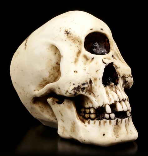 Figura decorativa teschio - figura,