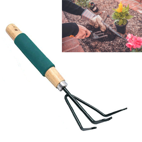 Rastrello giardino attrezzi - , 3