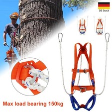 Cintura di sicurezza