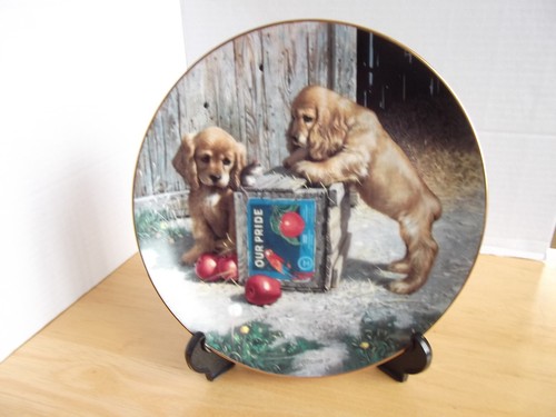 Hamilton puppy playtime - puppy, plate