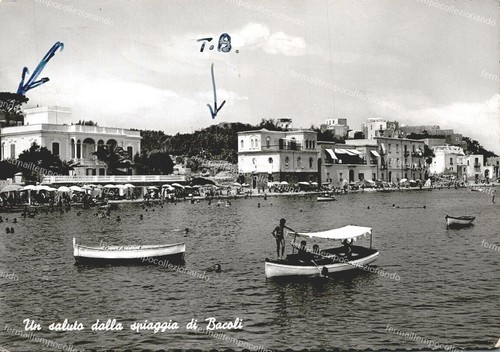 Do579 cartolina - do579,