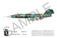 104s squadron print - f-104s, poster