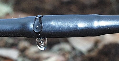 Soaker dripline spaziatura - dripline, 6"