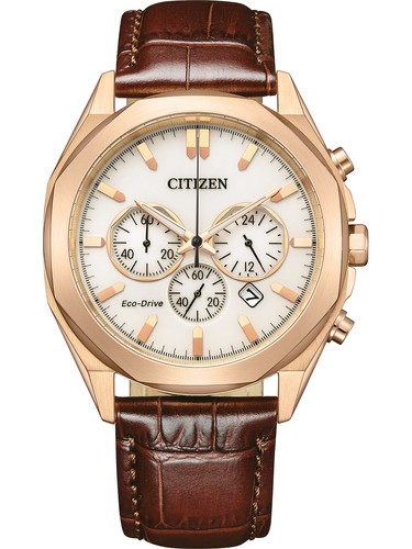 Citizen ca4593 15a reloj - ca4593-15a,