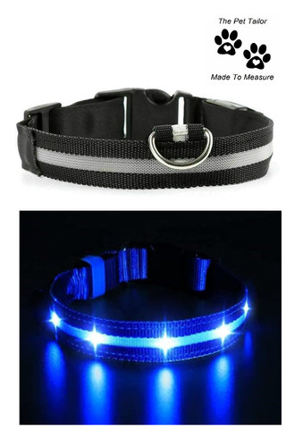 Italiano levriero led - levriero, cane