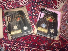 Coppia strumenti musicali antichi arpa salterio zither con archetto e spartiti