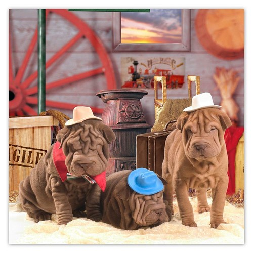 Adesivo regalo sharpei - adesivo,