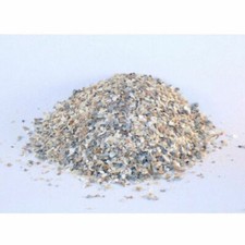 Gusci Ostrica conchiglie varie