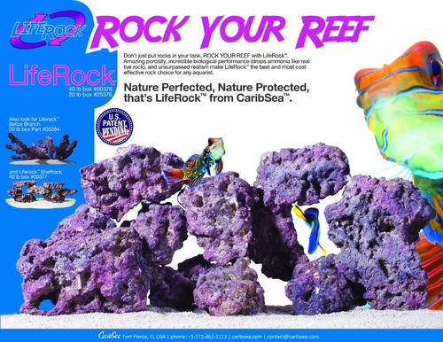 Caribsea life rock - 10, box